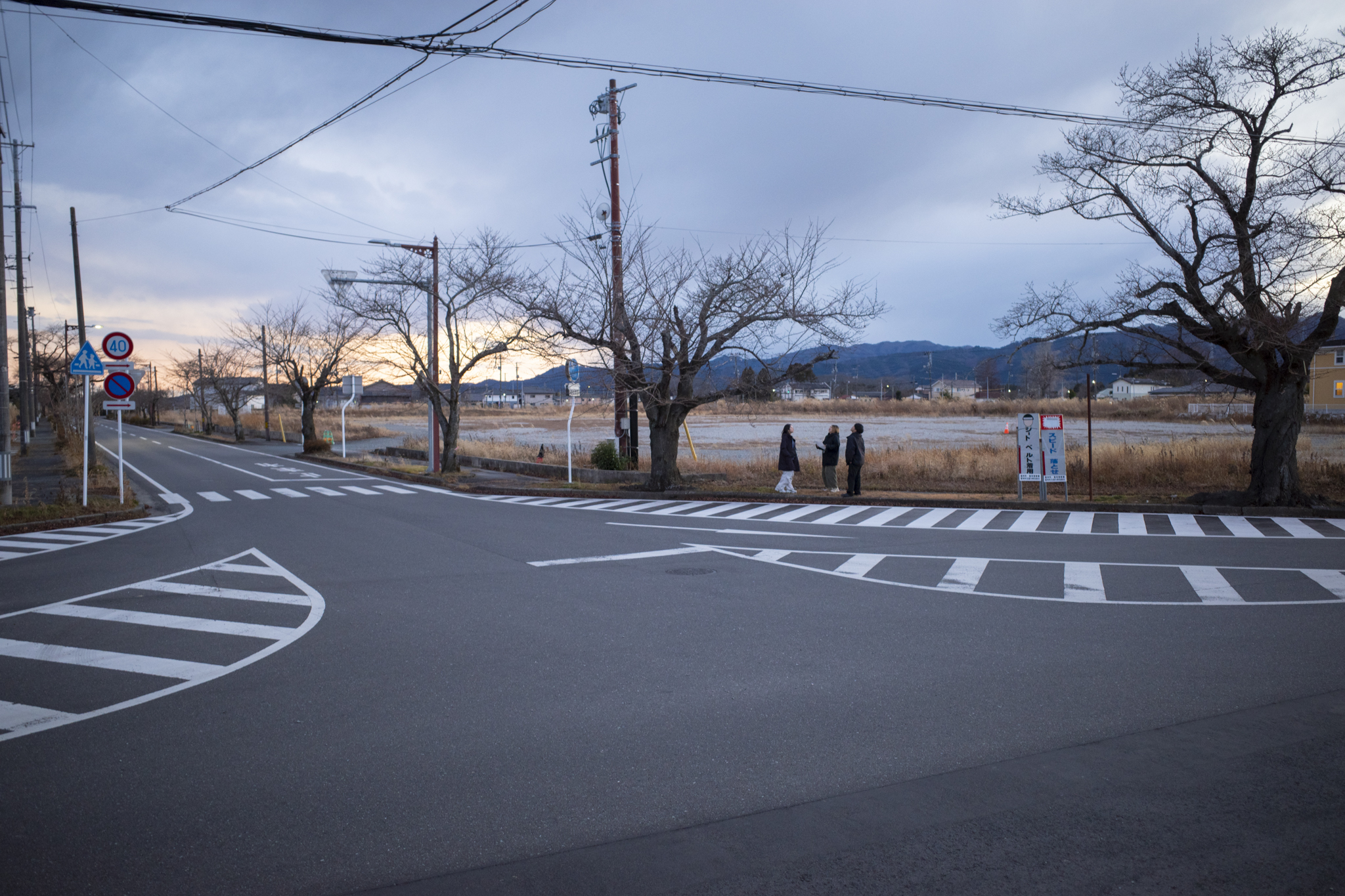 『ナラティブの交差点』福島県富岡町の夜の森地区にてリサーチ活動を開始しました。