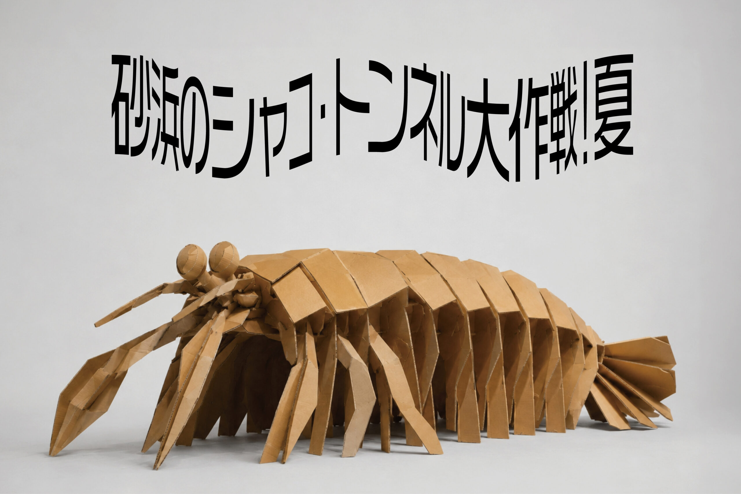 砂浜のシャコ・トンネル大作戦！夏